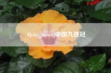 邹城中国九连冠