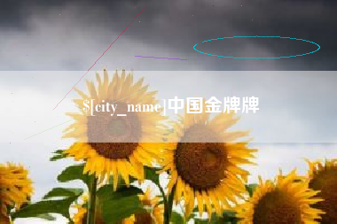 邹城中国金牌牌