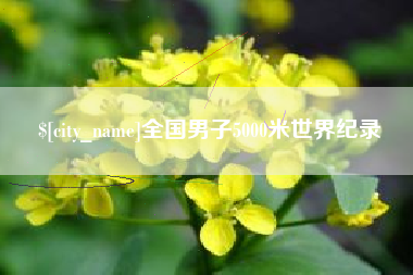 邹城全国男子5000米世界纪录
