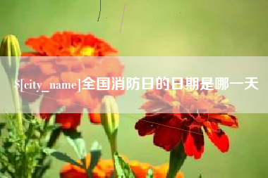 邹城全国消防日的日期是哪一天