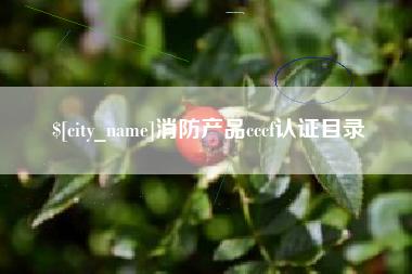 邹城消防产品cccf认证目录