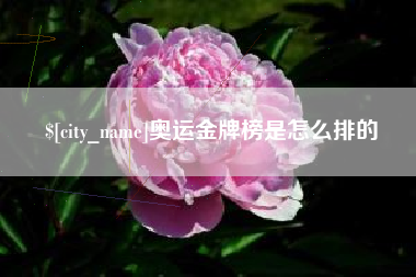 邹城奥运金牌榜是怎么排的