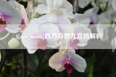 邹城西方命数九宫格解析