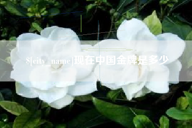 邹城现在中国金牌是多少