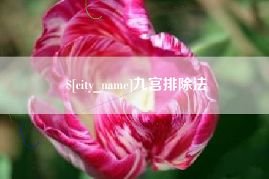 邹城九宫排除法