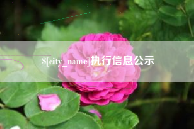邹城执行信息公示