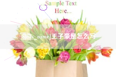 邹城王子豪是怎么写