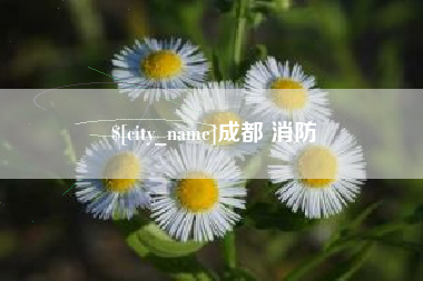 邹城成都 消防