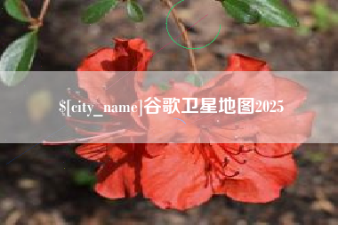 邹城谷歌卫星地图2025