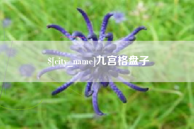 邹城九宫格盘子
