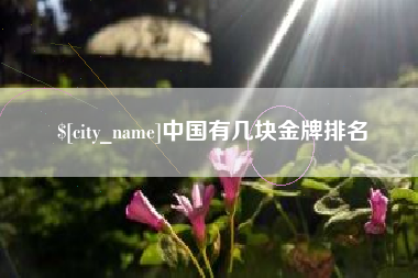 邹城中国有几块金牌排名