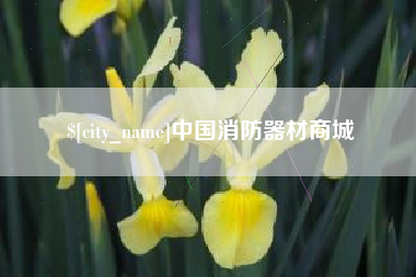 邹城中国消防器材商城