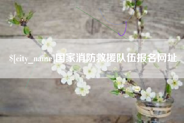 邹城国家消防救援队伍报名网址