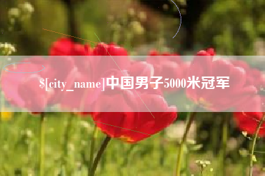 邹城中国男子5000米冠军