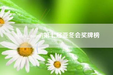 邹城第七届亚冬会奖牌榜
