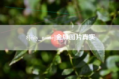 邹城金牌图片真实