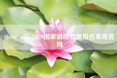 邹城2020国家消防救援报名系统官网
