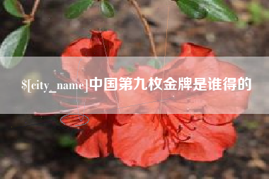 邹城中国第九枚金牌是谁得的