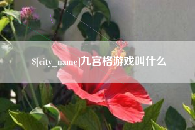邹城九宫格游戏叫什么