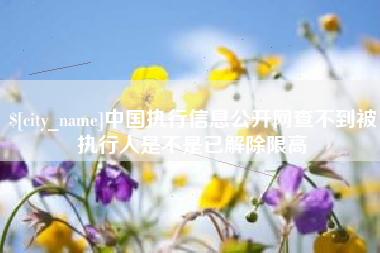 邹城中国执行信息公开网查不到被执行人是不是已解除限高