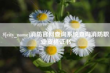 邹城消防官网查询系统查询消防职业资格证书