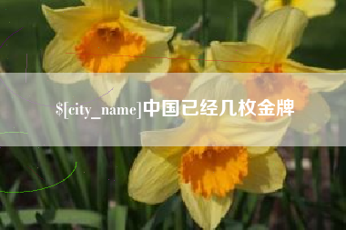 邹城中国已经几枚金牌