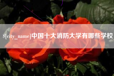 邹城中国十大消防大学有哪些学校