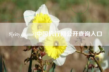 邹城中国执行网公开查询入口
