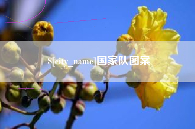 邹城国家队图案