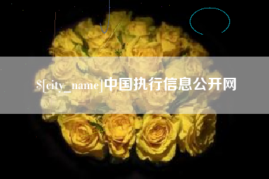 邹城中国执行信息公开网