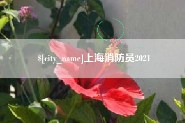 邹城上海消防员2021