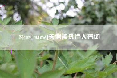 邹城失信被执行人杳询