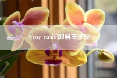 邹城邱县王子磊