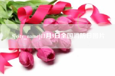 邹城11月9日全国消防日图片