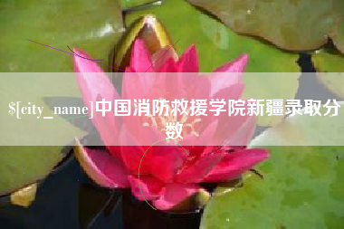 邹城中国消防救援学院新疆录取分数