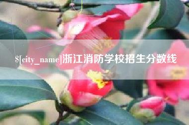 邹城浙江消防学校招生分数线