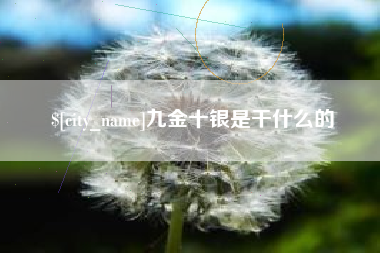 邹城九金十银是干什么的