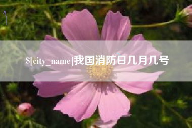 邹城我国消防日几月几号