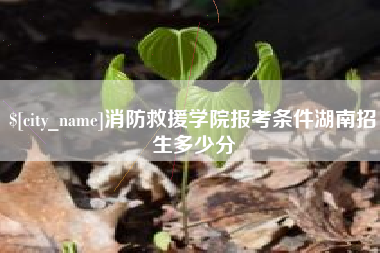 邹城消防救援学院报考条件湖南招生多少分