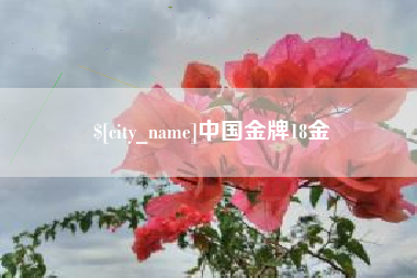 邹城中国金牌18金