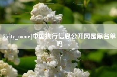 邹城中国执行信息公开网是黑名单吗