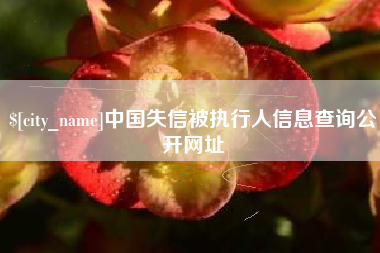 邹城中国失信被执行人信息查询公开网址