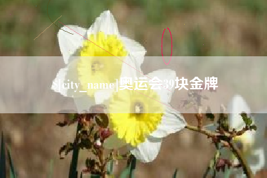 邹城奥运会39块金牌