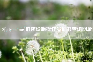 邹城消防设施操作员证书查询网址