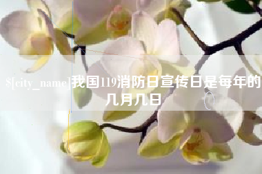 邹城我国119消防日宣传日是每年的几月几日