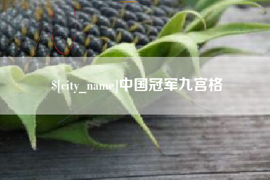邹城中国冠军九宫格