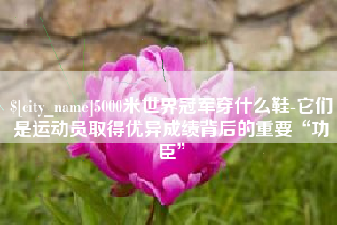 邹城5000米世界冠军穿什么鞋-它们是运动员取得优异成绩背后的重要“功臣”