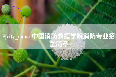 邹城中国消防救援学院消防专业招生简章