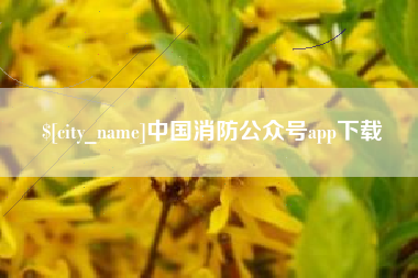 邹城中国消防公众号app下载