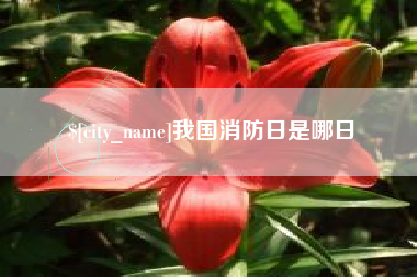 邹城我国消防日是哪日